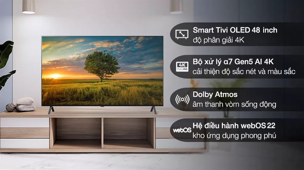 Smart Tivi OLED LG 4K 48 Inch 48A2PSA