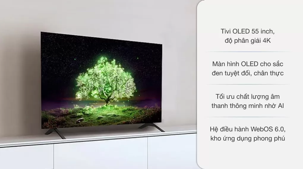 Smart Tivi OLED LG 4K 55 Inch 55A1PTA