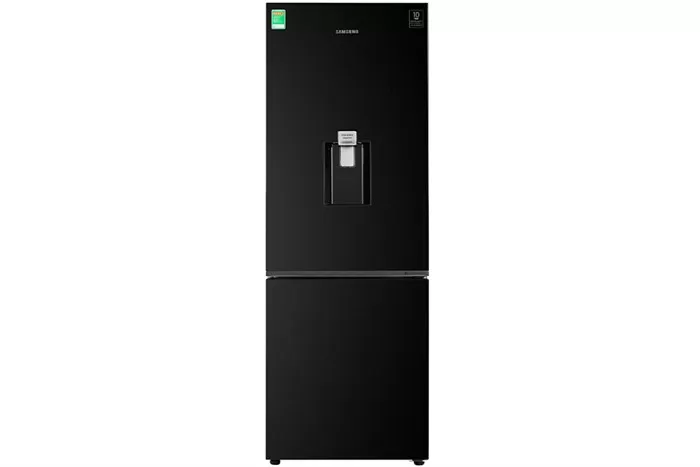 Tủ Lạnh Samsung Inverter 307 Lít RB30N4170BU/SV