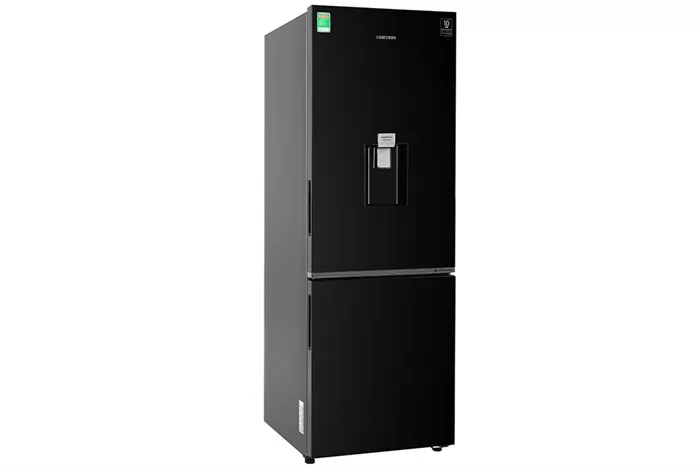 Tủ Lạnh Samsung Inverter 307 Lít RB30N4170BU/SV