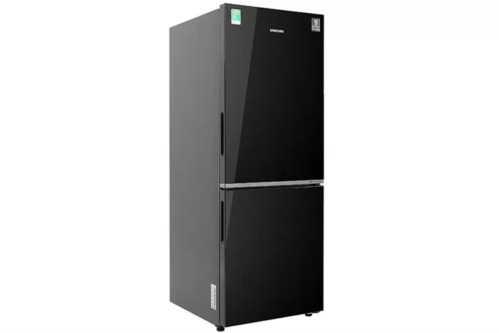 Tủ Lạnh Samsung Inverter 280 Lít RB27N4010BU/SV