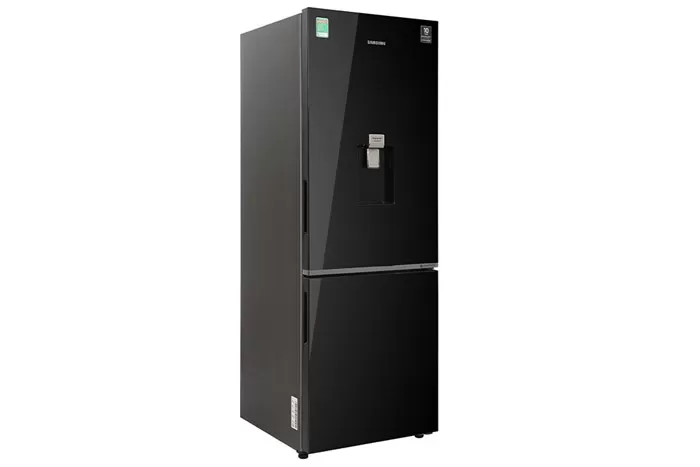 Tủ Lạnh Samsung Inverter 307 Lít RB30N4190BU/SV