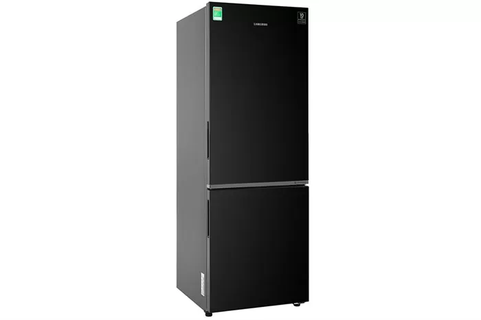 Tủ Lạnh Samsung Inverter 310 Lít RB30N4010BU/SV